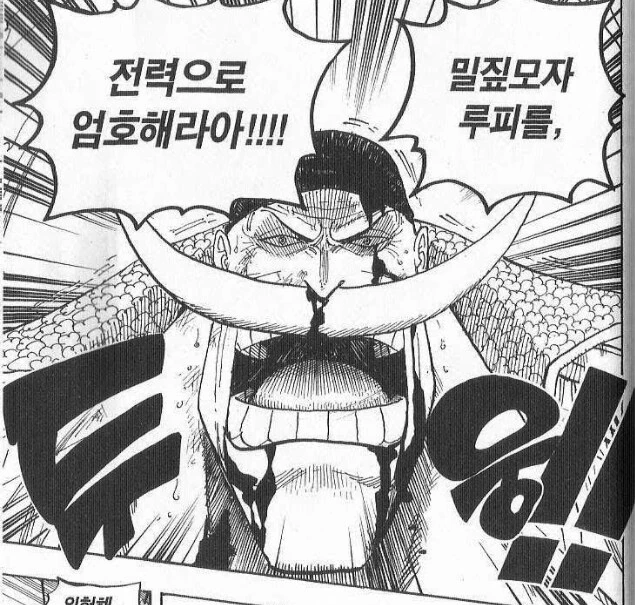 원피스) 슬슬 정설 취급해도 되는 밈들 모음_3.png
