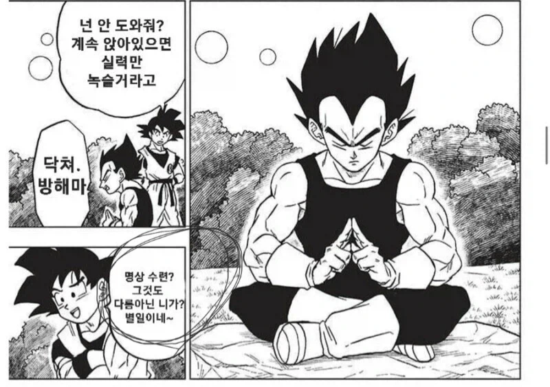(드래곤볼 슈퍼) 의외로 차이가 나는 디테일_3.webp