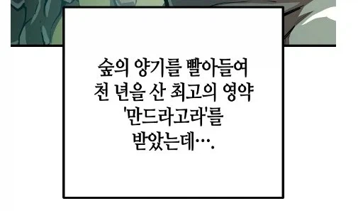 드라이어드의 퀘스트 보상_2.webp