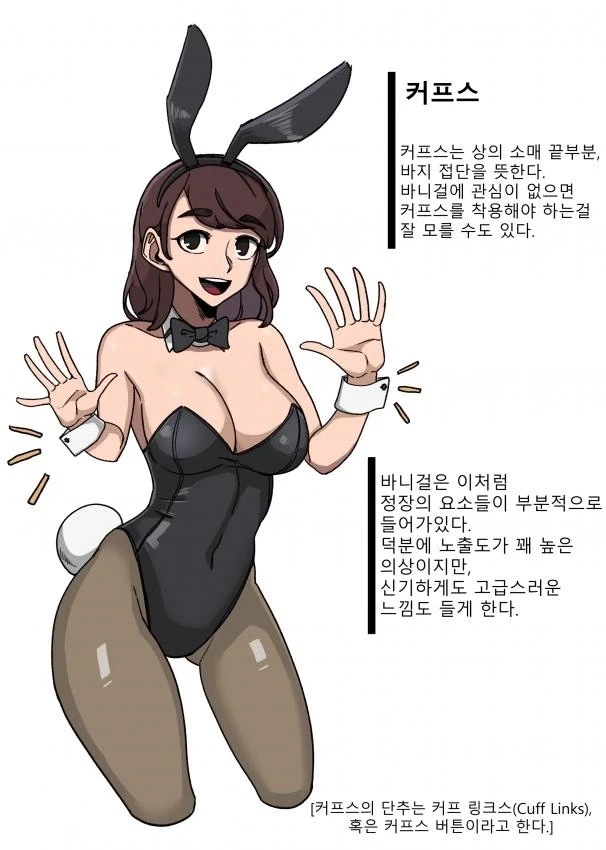 바니걸에 대해 알아보는 만화_8.webp