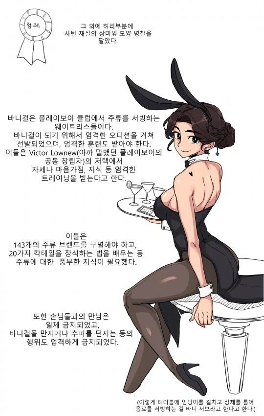 바니걸에 대해 알아보는 만화_18.webp