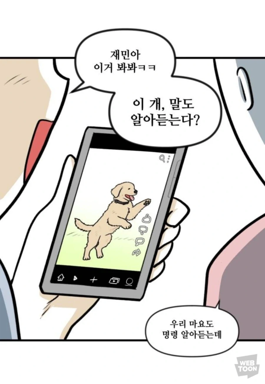 고양이만 키우다 강아지 만나본 뽈쟁이_1.webp