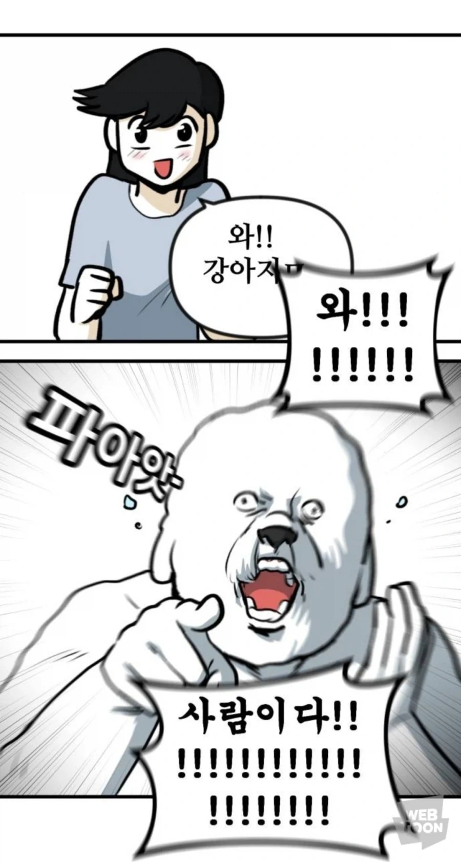 고양이만 키우다 강아지 만나본 뽈쟁이_6.webp