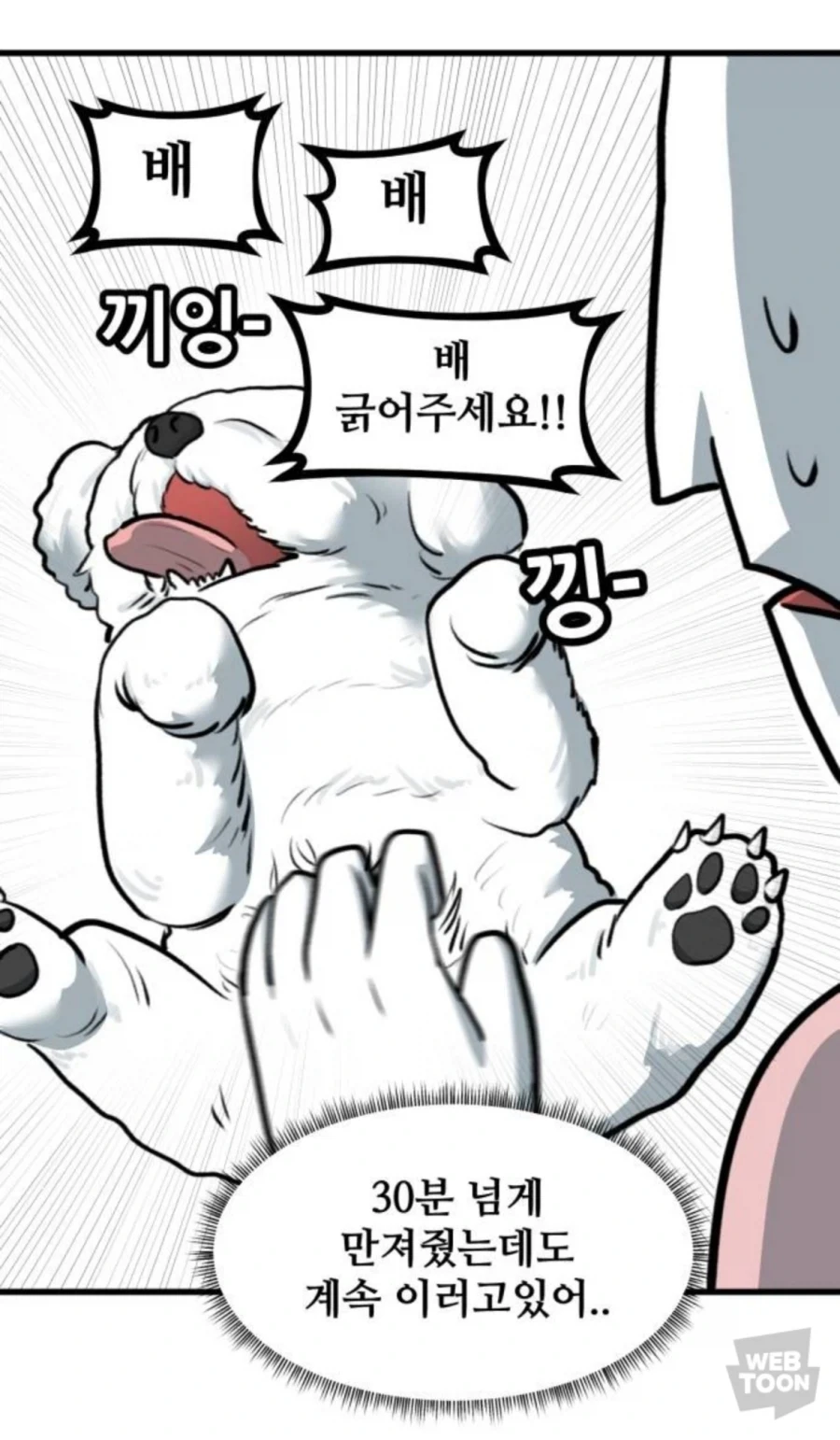 고양이만 키우다 강아지 만나본 뽈쟁이_10.webp