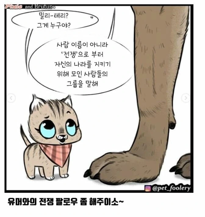 아기고양이와 은퇴군견manga_4.jpeg