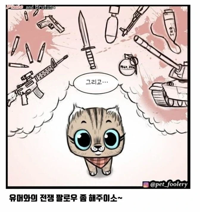 아기고양이와 은퇴군견manga_6.webp