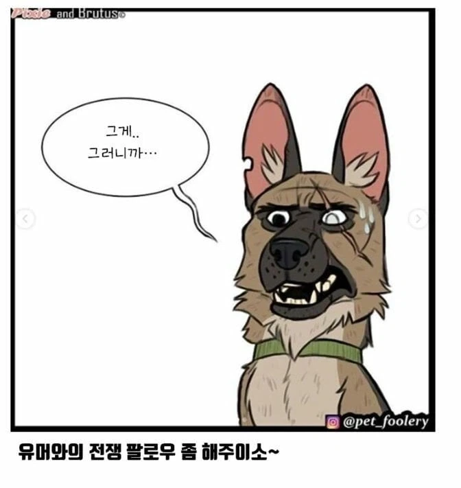 아기고양이와 은퇴군견manga_8.webp