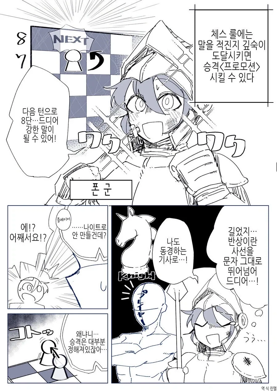 체스의 룰