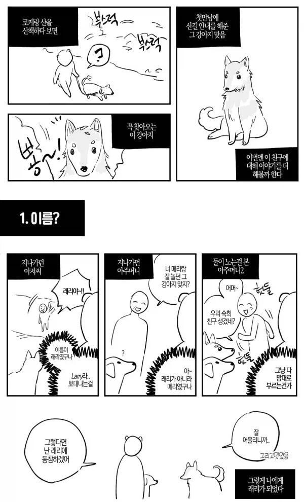 산에서 조난당했는데 유기견을 만난.manhwa_4.webp