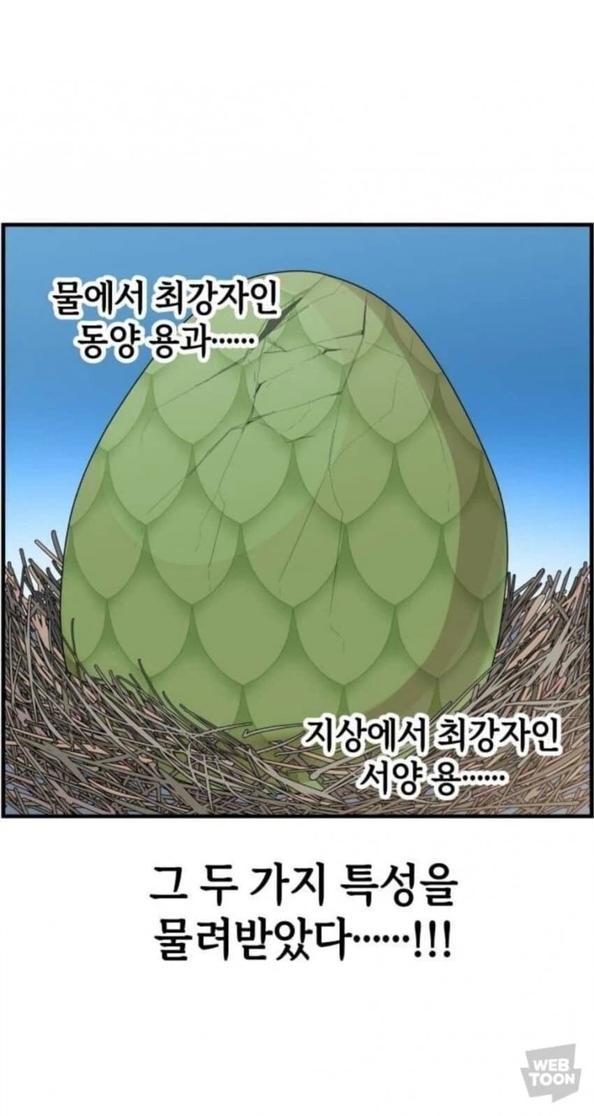 동양 용 vs 서양 용 만화_9.webp