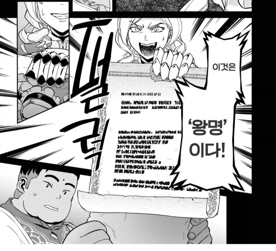 미친 왕녀가 구국의 영웅 토벌을 지시해왔다.manhwa_1.webp