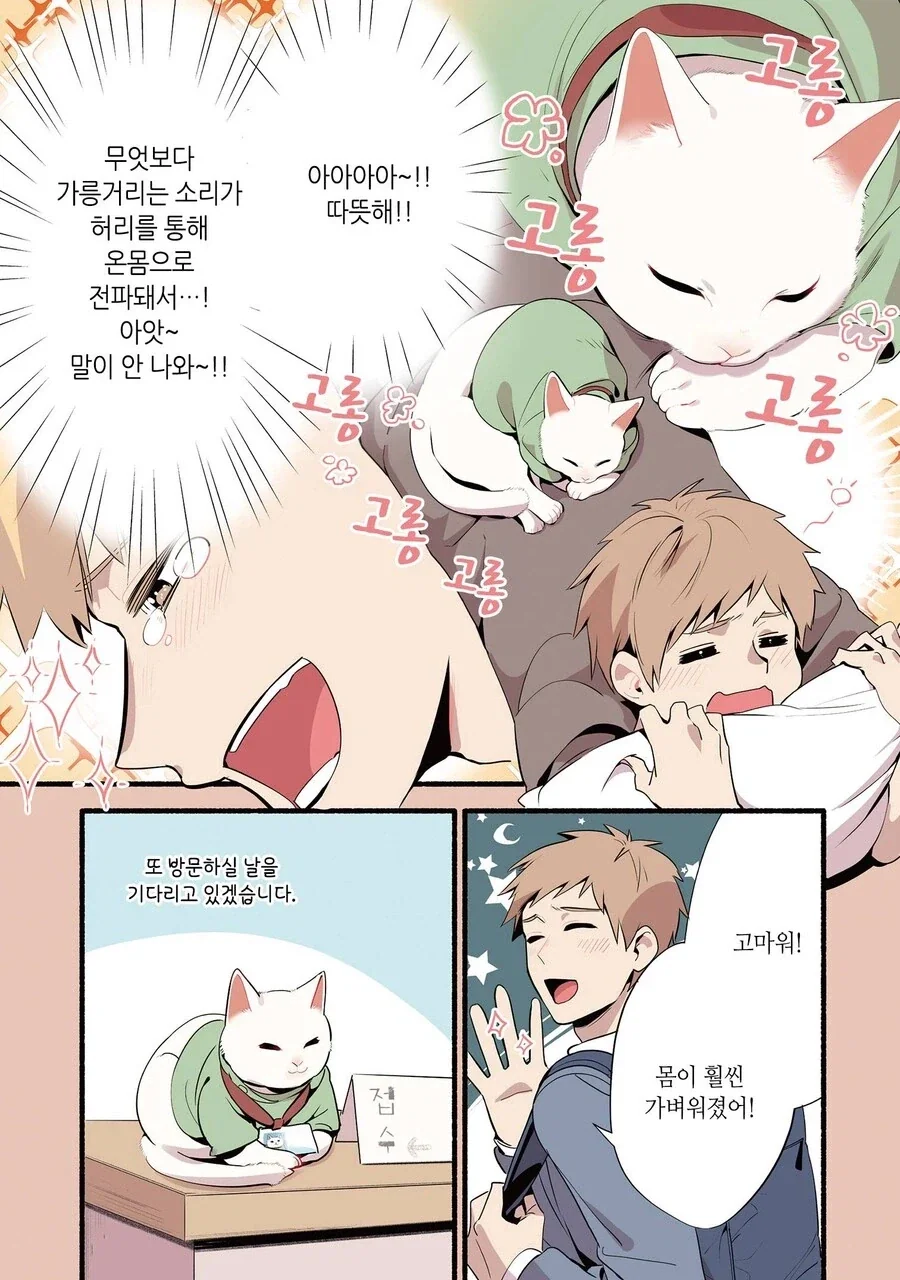 진짜 고양이가 마사지하는 만화_5.webp