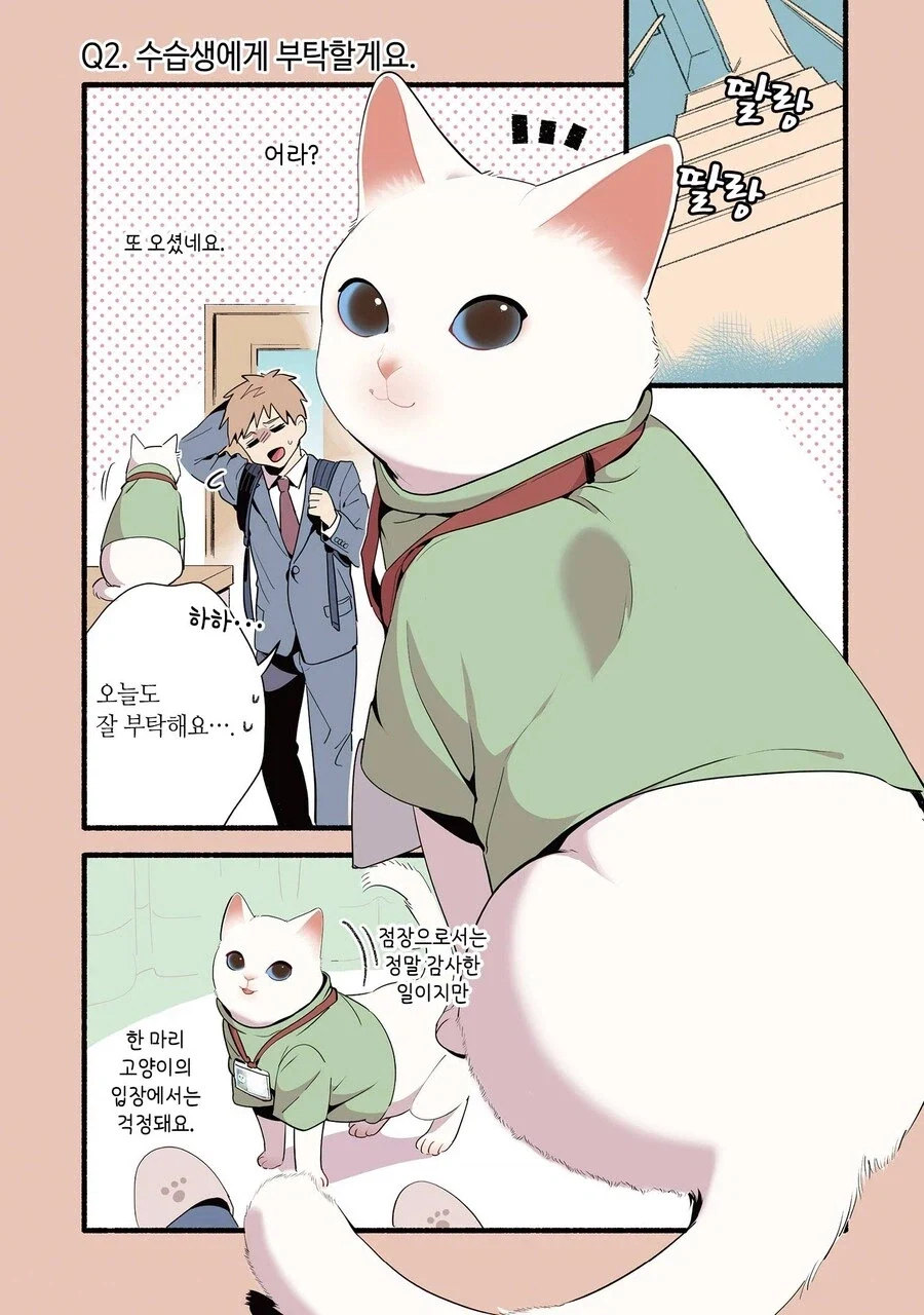 진짜 고양이가 마사지하는 만화_6.webp