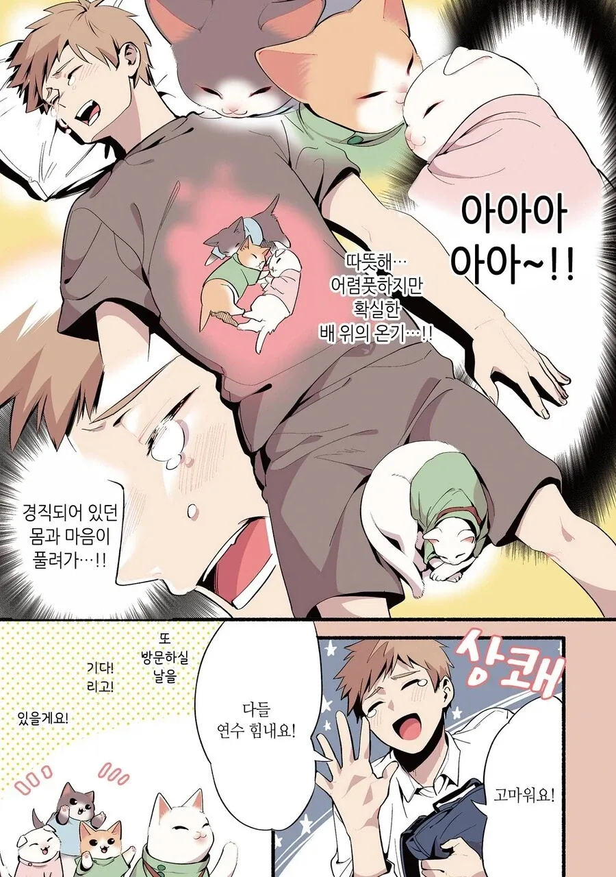 진짜 고양이가 마사지하는 만화_10.webp