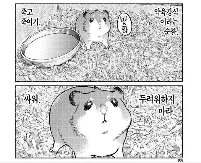 햄스터가 당신에게 조언합니다.manhwa_1.webp