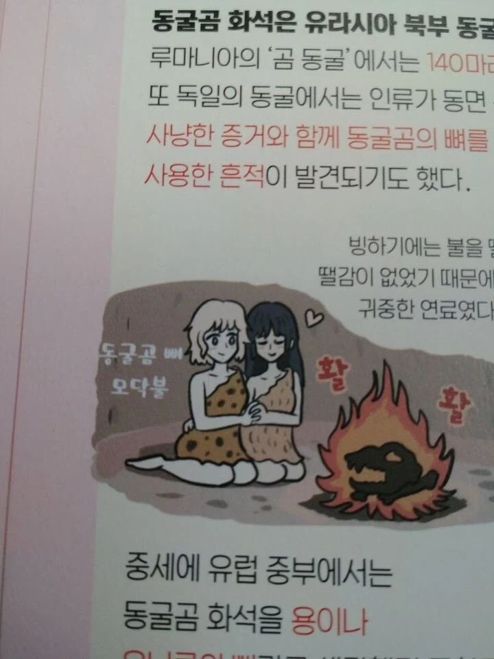 학습만화에서 묘사하는 동굴곰 화석.jpg_1.webp
