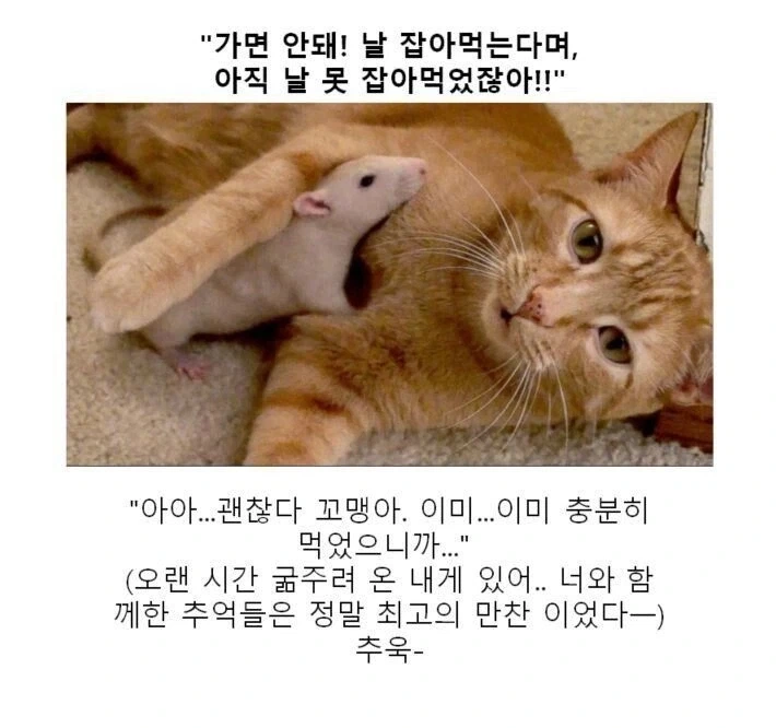 ToonPop - 짧은 웹코믹, 가볍게 한 편씩 대표 이미지