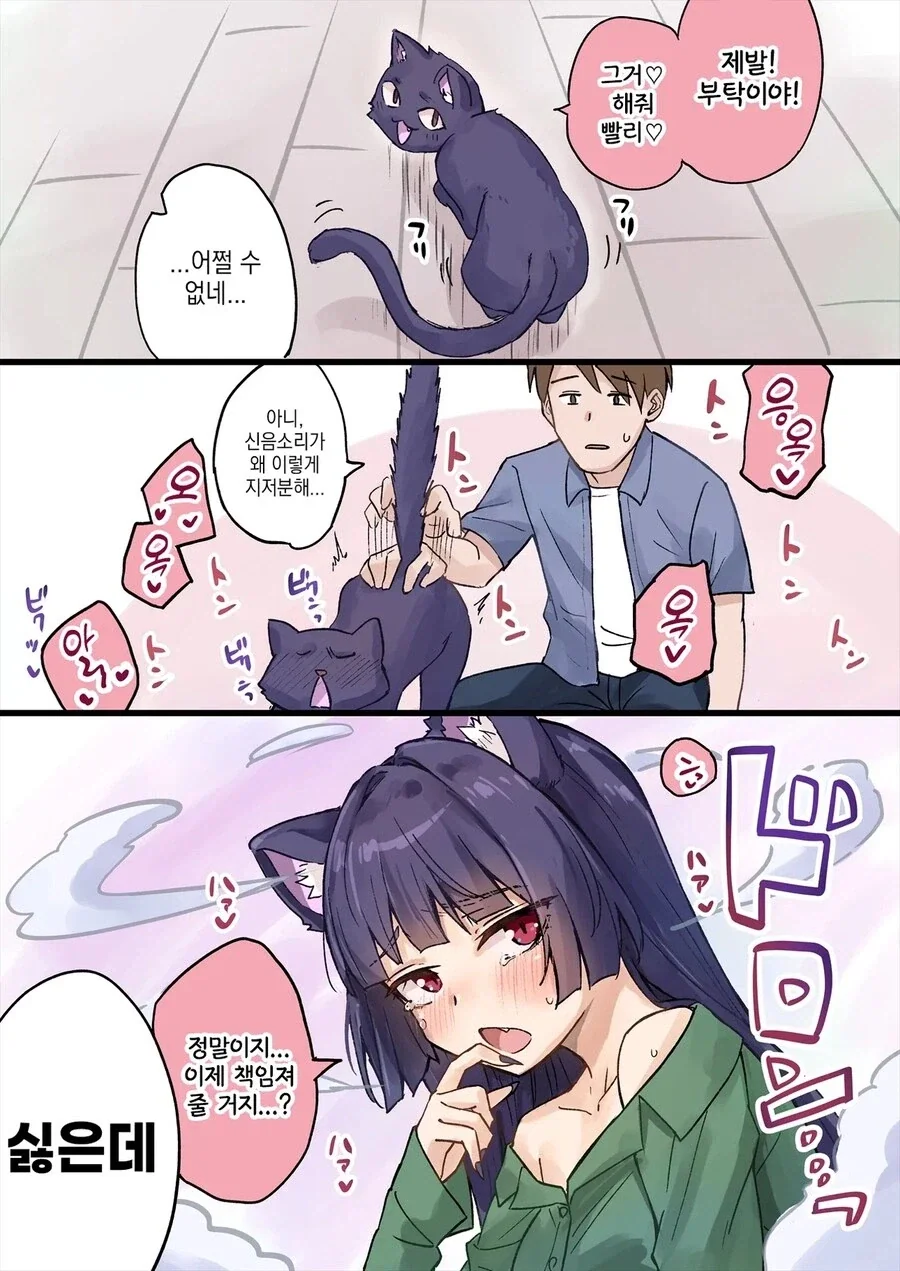 질투 많은 요괴고양이와 쮸인님.manhwa_1.webp