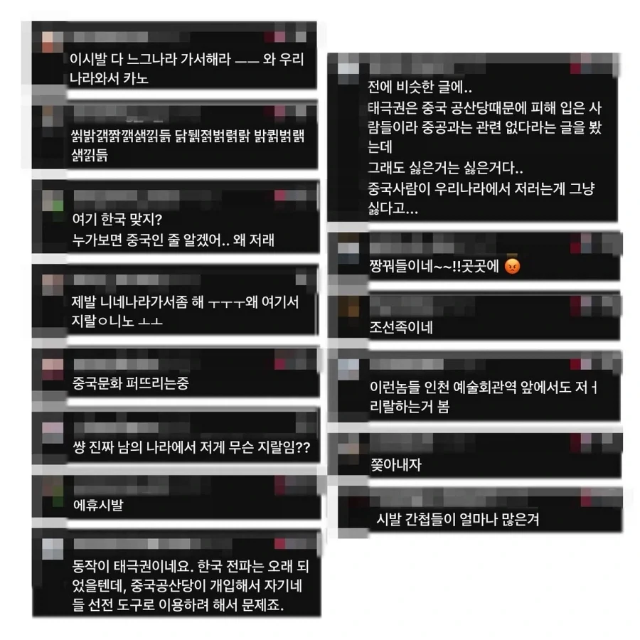변호사가 참가하는 태극권 모임을 중국인이라 올린 악플.manwha_11.webp