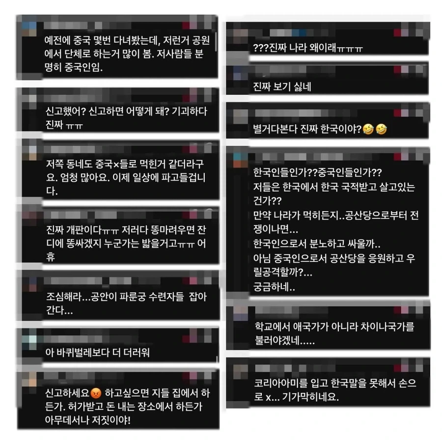 중국인으로 몰린 태극권 모임.manwha_12.webp