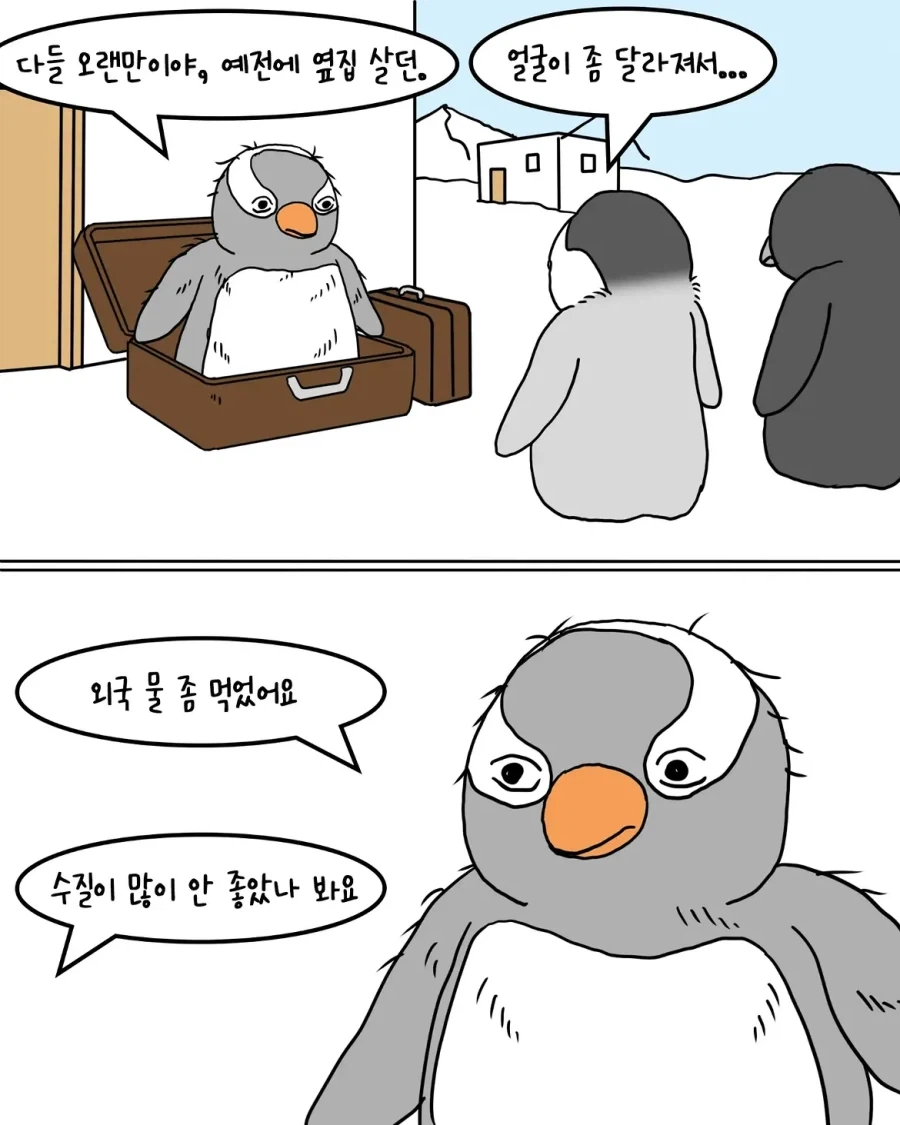해외에서 돌아온 펭귄 만화.manwha_2.webp