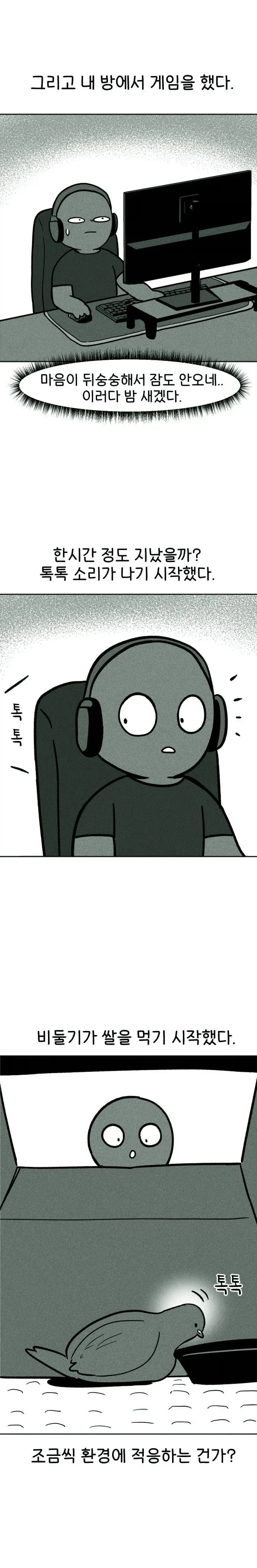 비둘기 구조하는 manhwa._7.webp