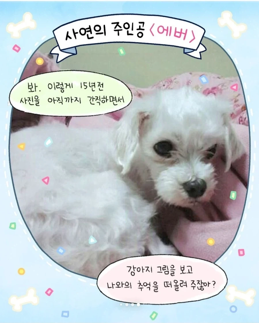 갑자기 찾아온 모르는 강아지.manga_10.webp