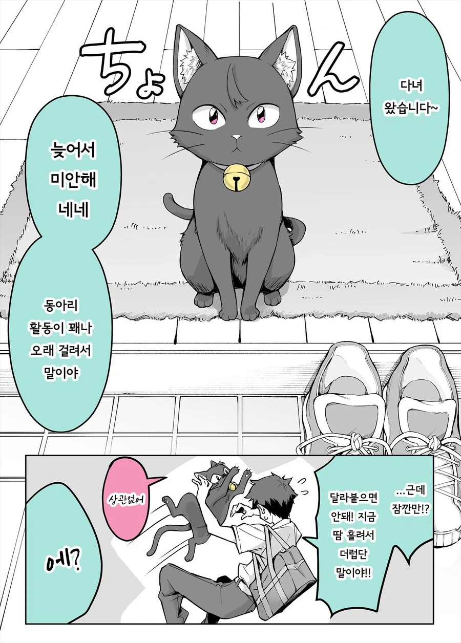 뻐꾸기 아빠 이미지 2