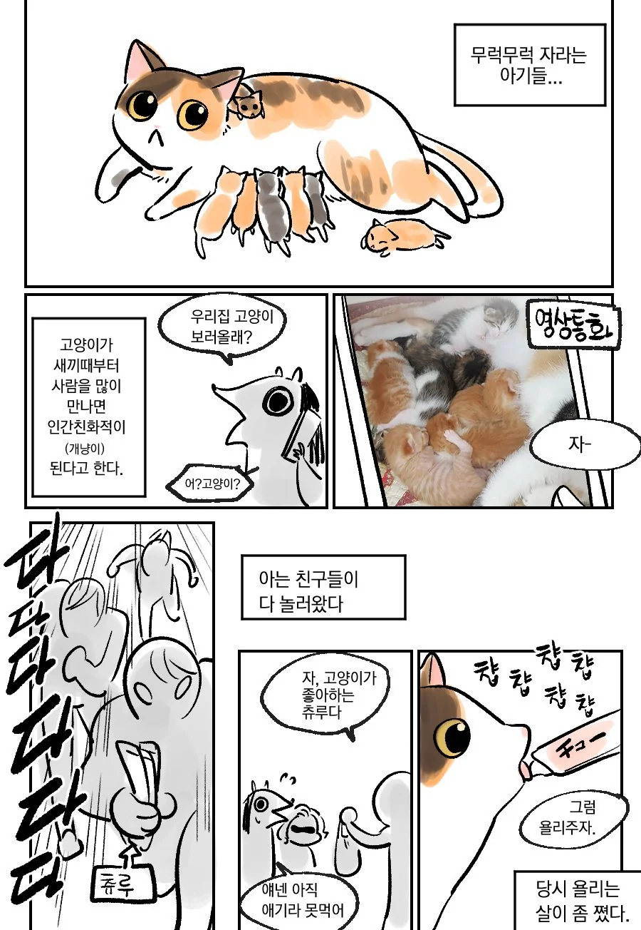 manga_1465949_001.webp