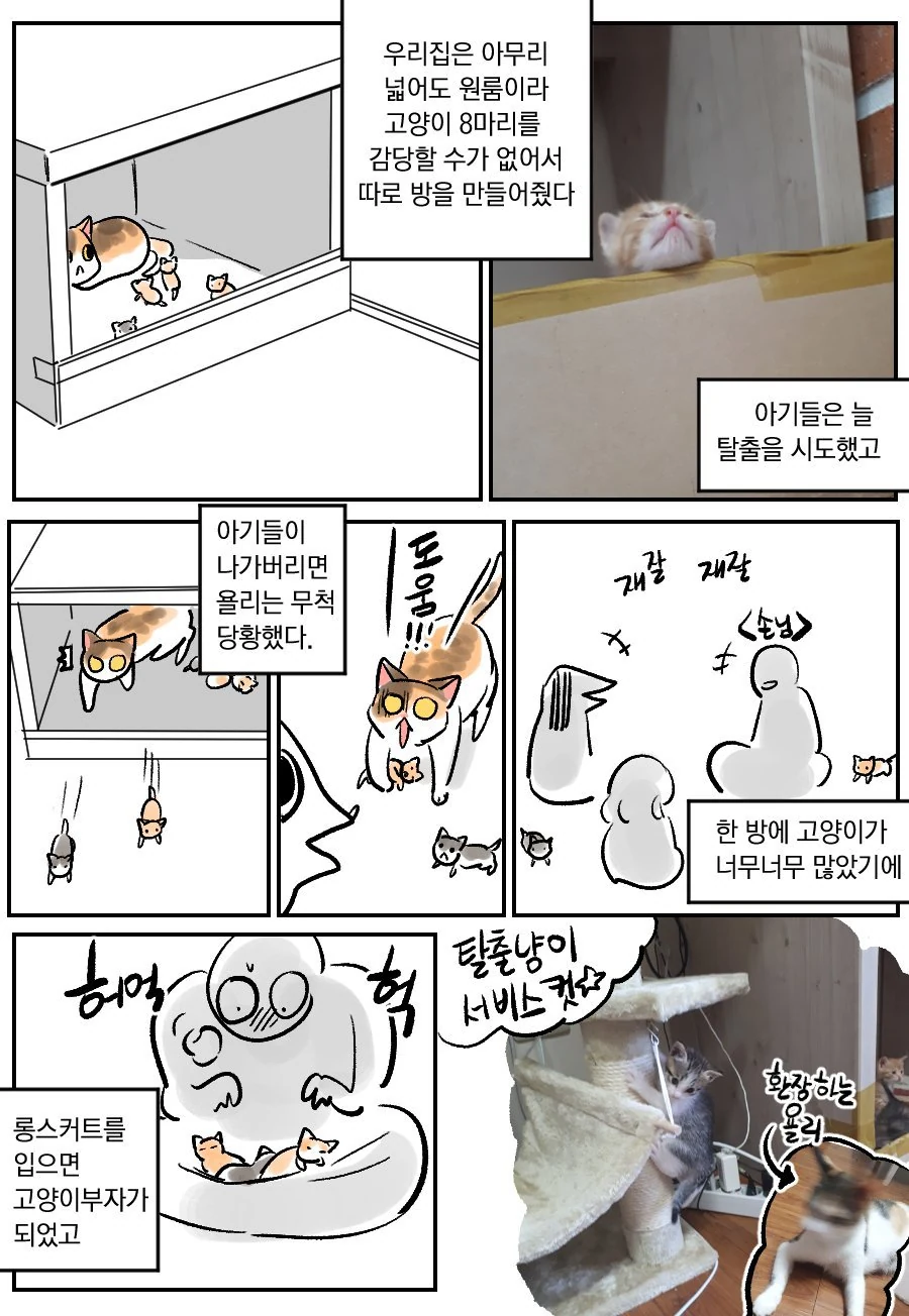 manga_1465949_002.webp