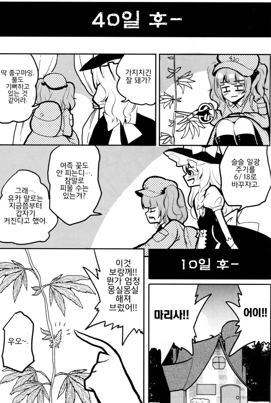 manga_1839029_011.webp