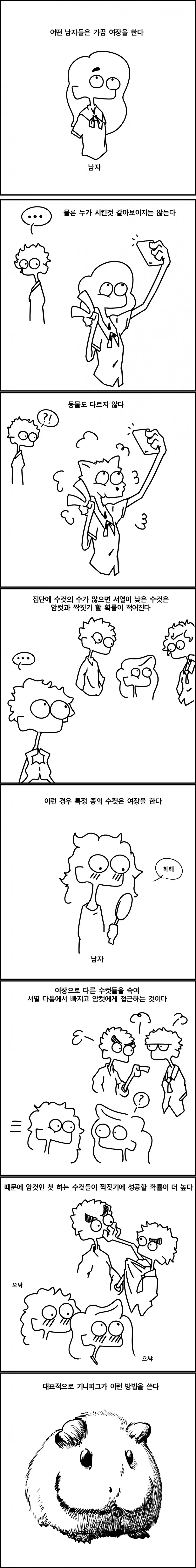 manga_1854558_001.webp