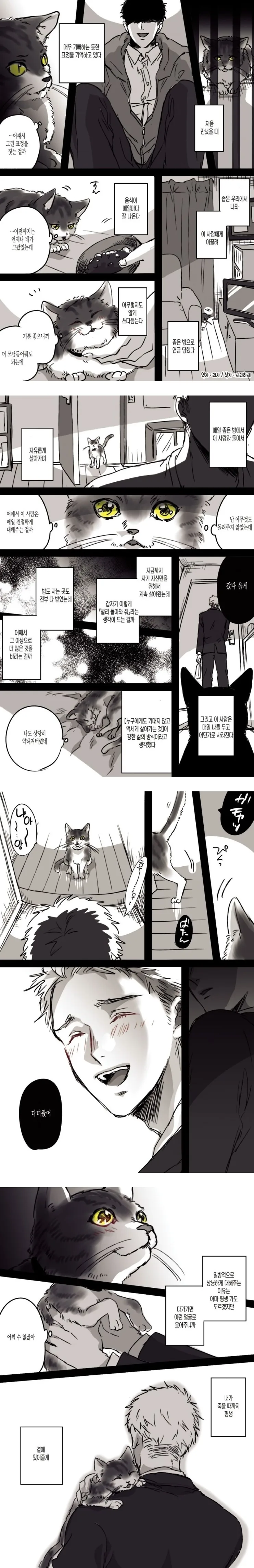 비밀장소에 차를 마시러 온 고양이 만화.manga 이미지 11