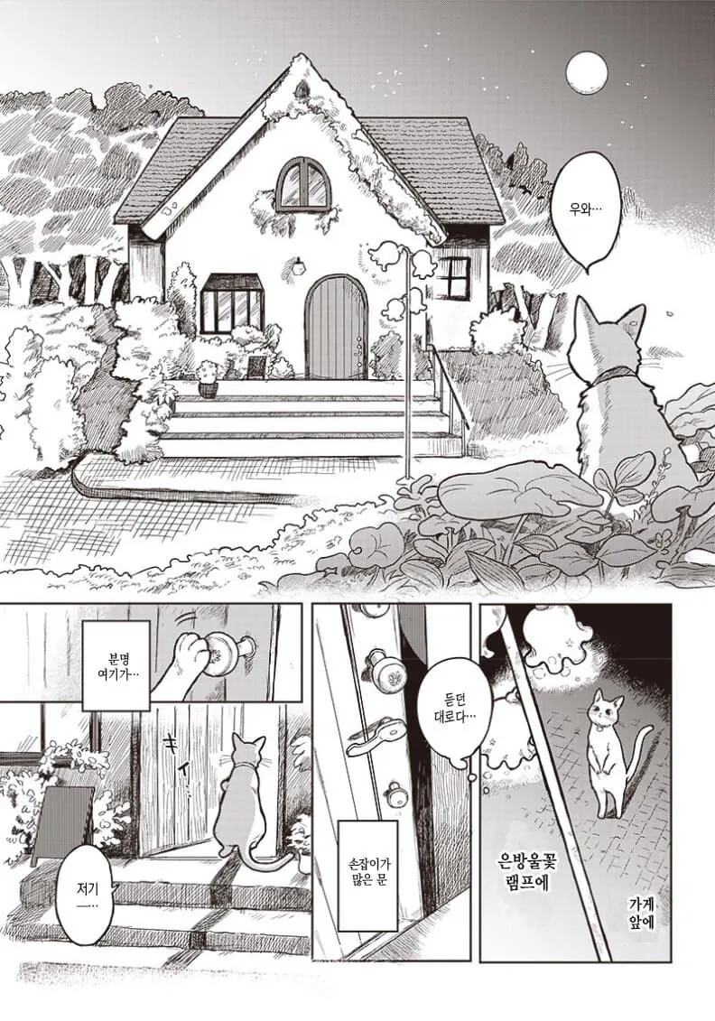 manga_76403875_71ff_003.webp