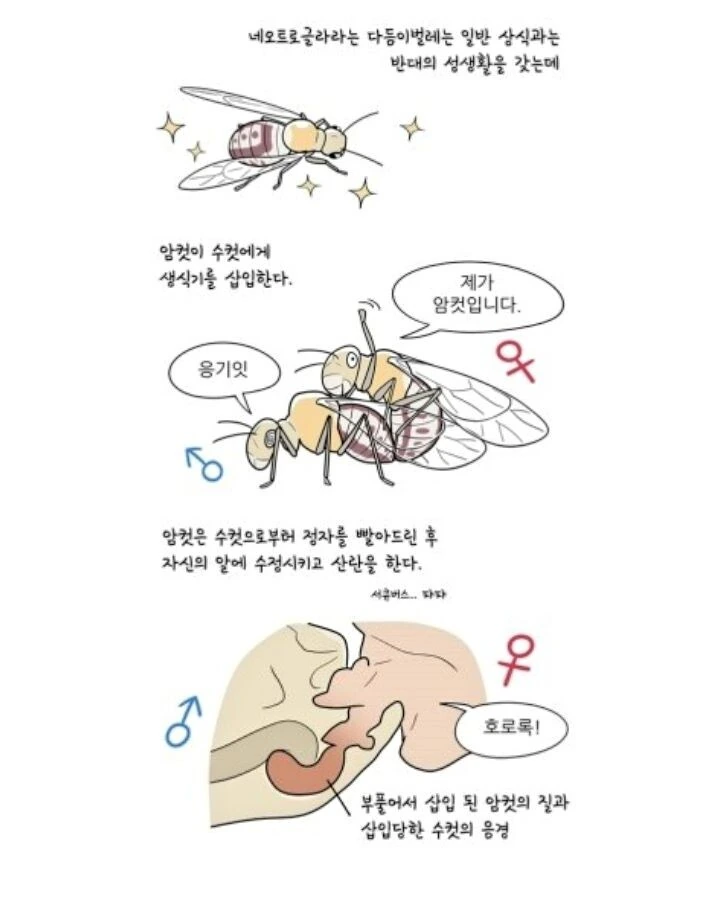 manga_874863_001.webp