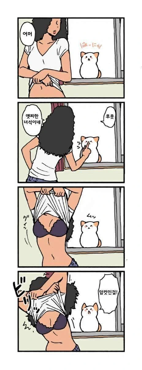 manga_1312032_005.webp