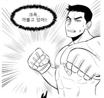 manga_2994937_013.webp