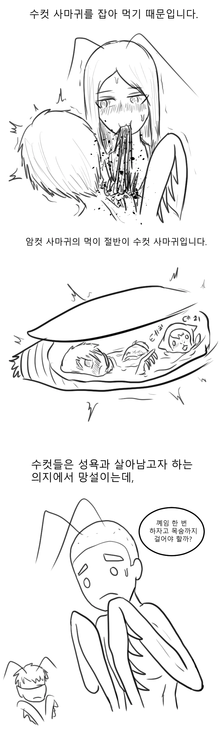 manga_785553_002.webp