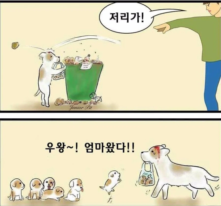 DAUzMKkUIAENgyH.jpg