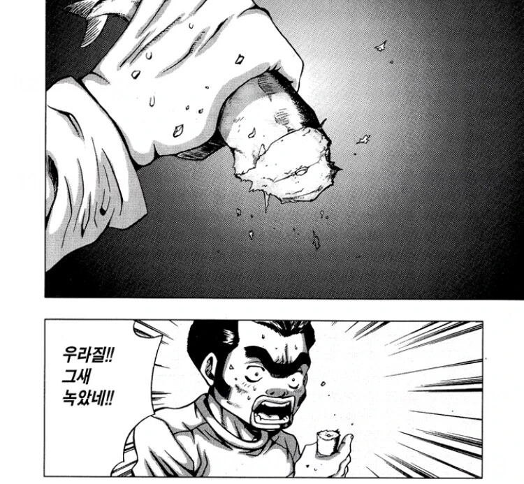 manga_2085041_011.webp