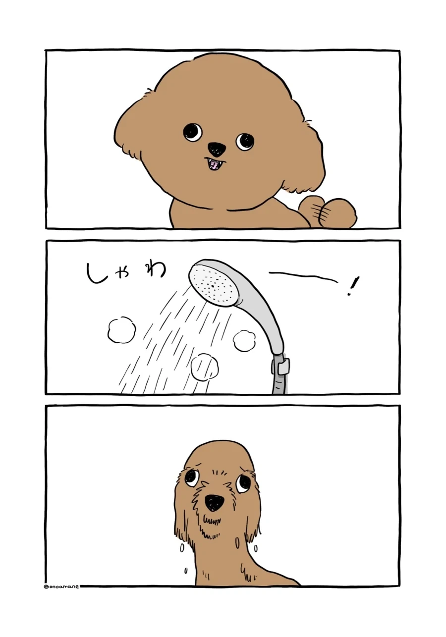 manga_76460748_a0ea_002.webp