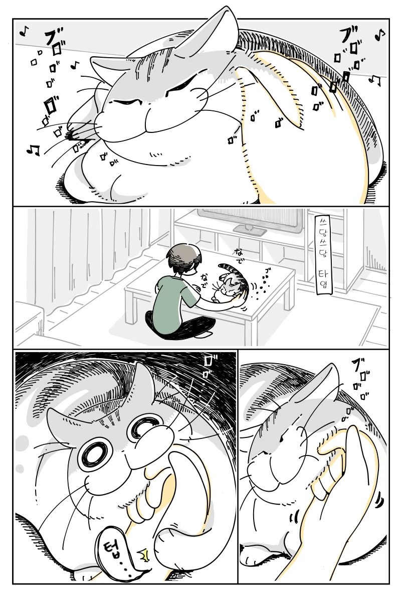 manga_1323257_001.webp