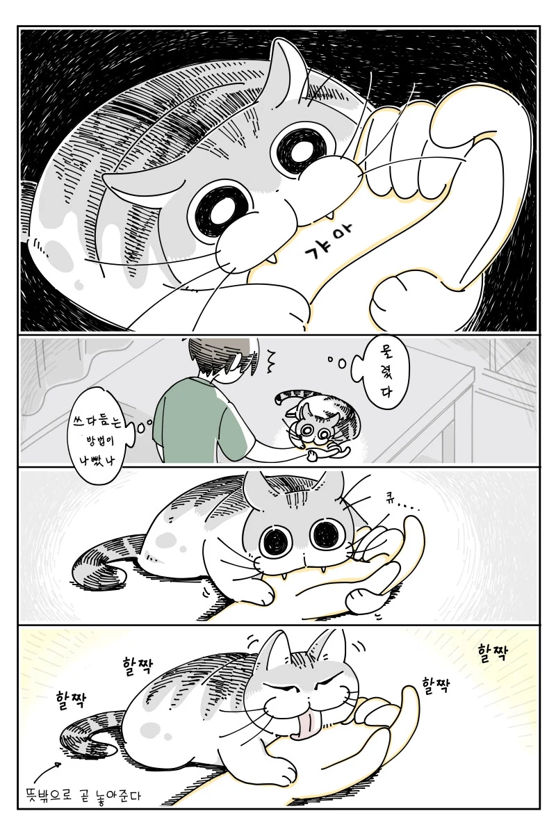 manga_1323257_002.webp