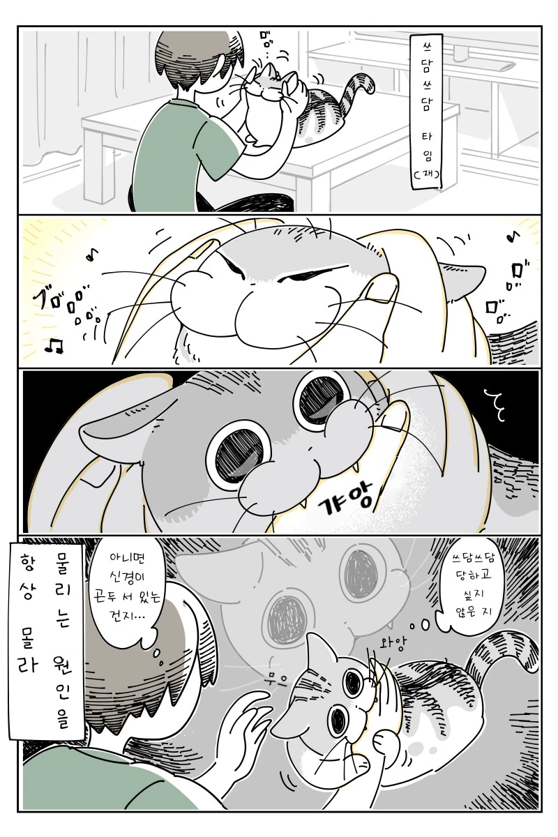manga_1323257_003.webp