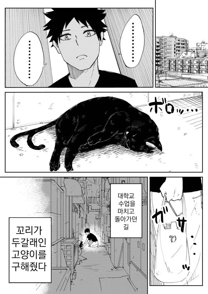 manga_1443225_001.webp