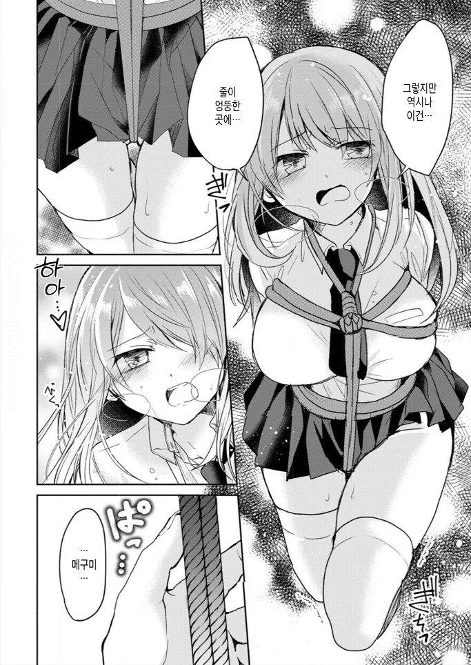 manga_2423088_009.webp