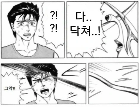 manga_2583209_002.webp