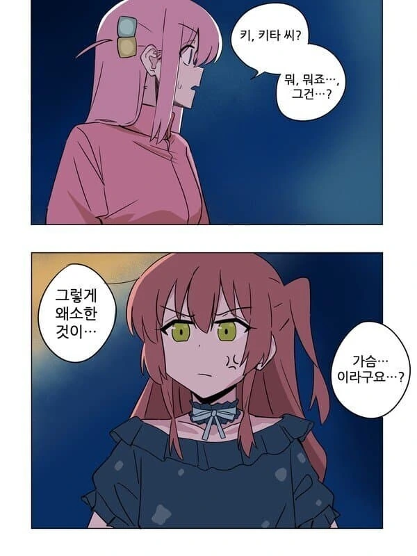 봇치야 그게 무슨 소리니..?_1.jpg