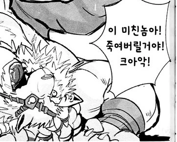 manga_575966_011.webp