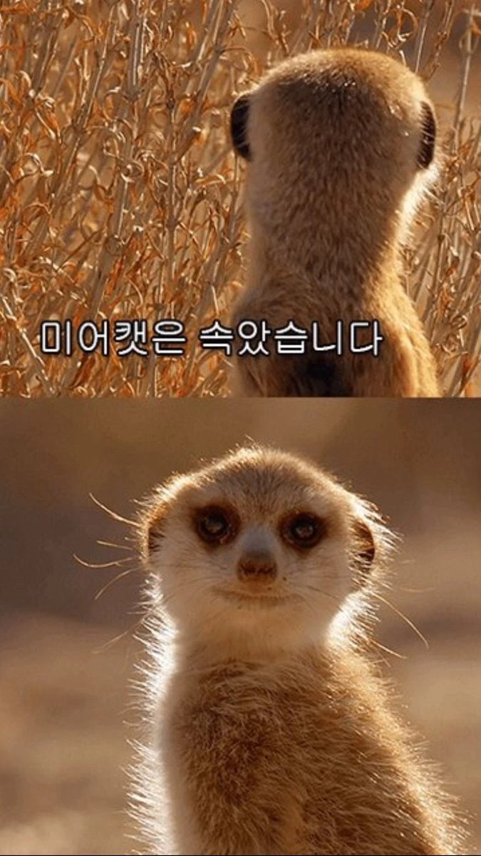 악마의 반지.manhwa_3.jpg